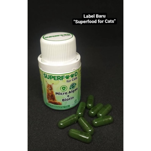 Jual Superfood for cat Shopee Indonesia
