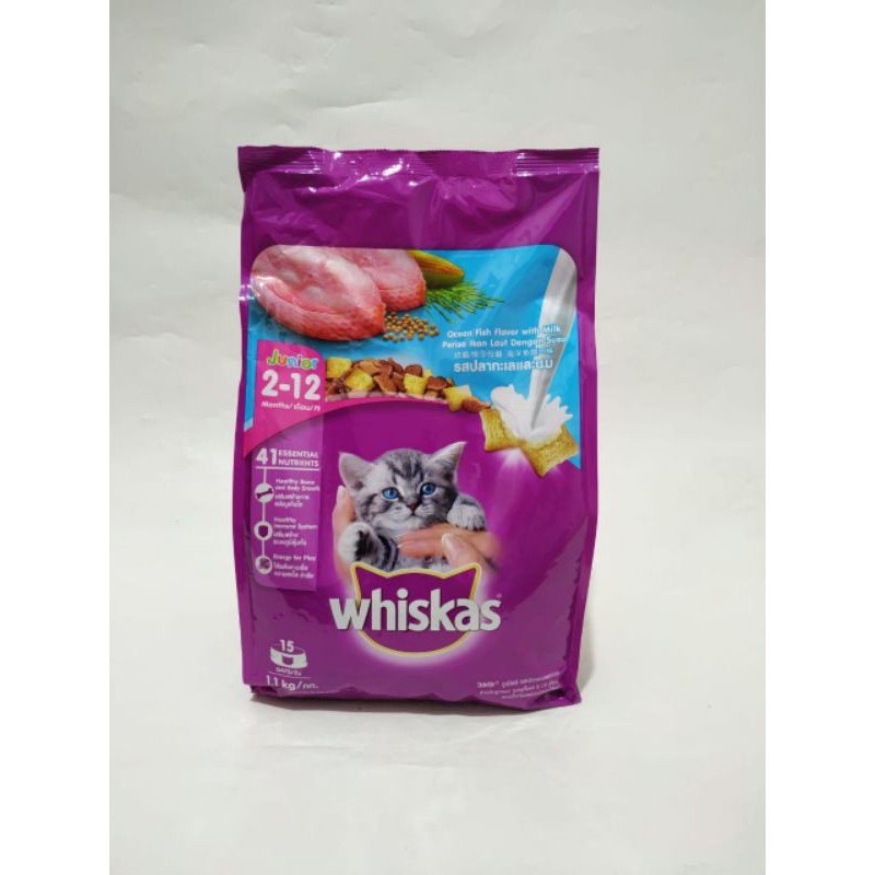 Jual Whiskas Junior Ocean Fish 1,1kg Shopee Indonesia