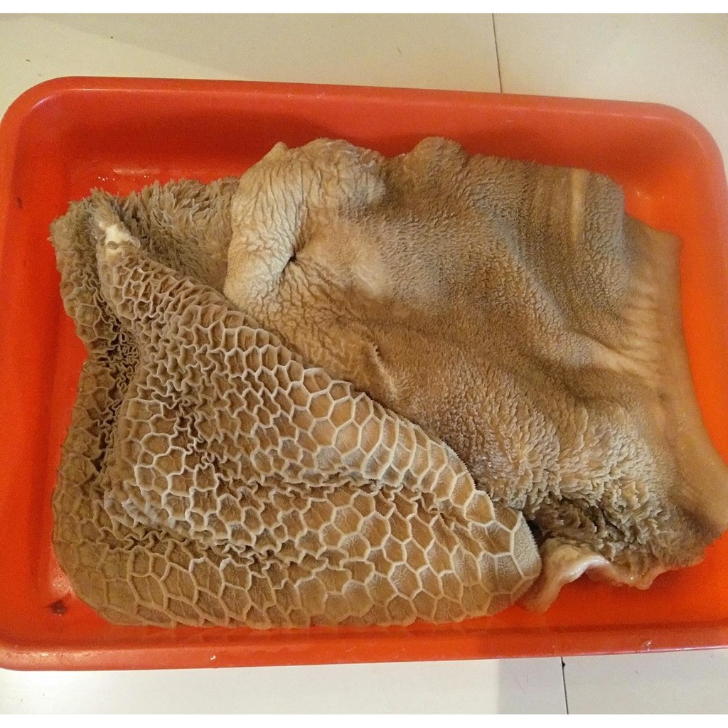 Jual Babat Sapi 1 KG | Shopee Indonesia