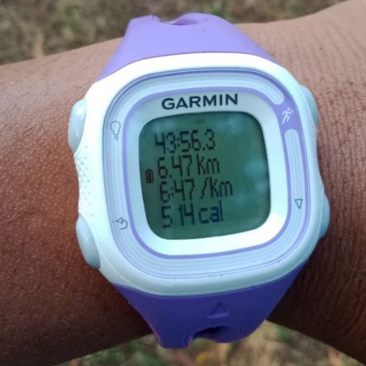 Garmin hot sale forerunner 10