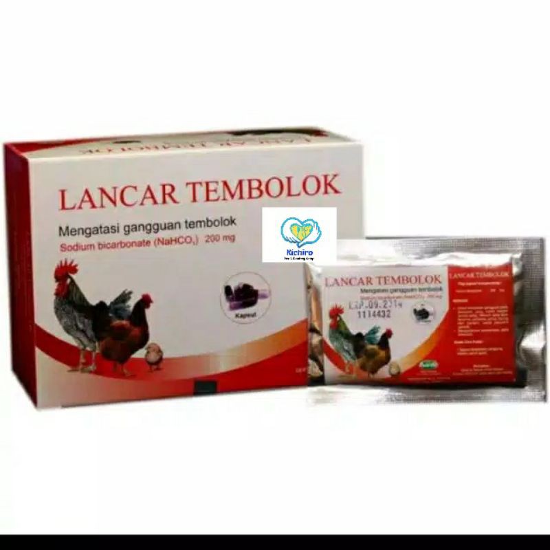 Jual Lancar Tembolok isi 10 Kapsul Raid All Mengatasi Gangguan Tembolok ...