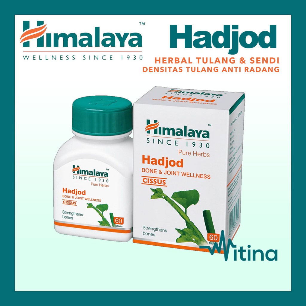 Jual HIMALAYA HADJOD CISSUS HERBAL TULANG LEMAH RETAK SENDI ...