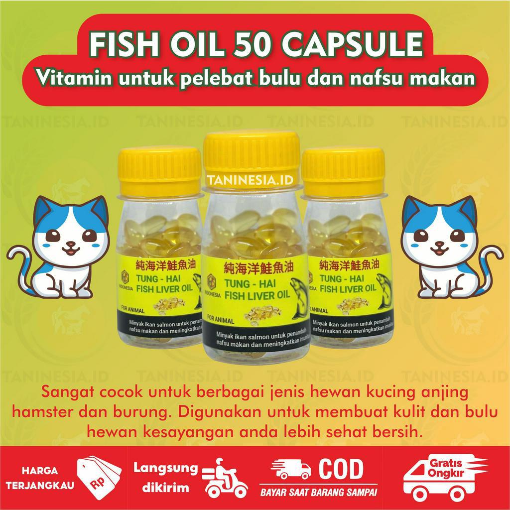 Jual MINYAK IKAN VITAMIN KUCING DAN ANJING FISH LIVER OIL 50 KAPSUL