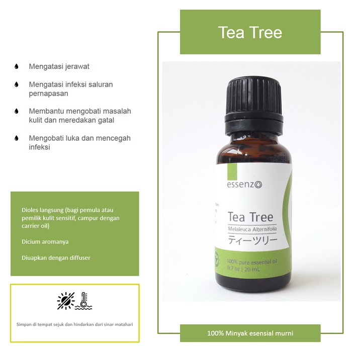 Jual Tea Tree Essential Oil - 20mL | Shopee Indonesia