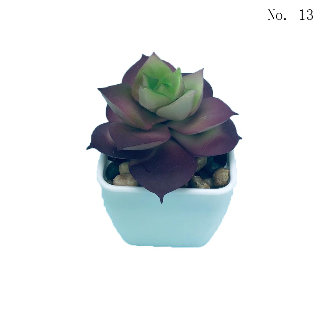 Jual Kaktus mini / Tanaman hias / Aneka macam kaktus / Tanaman plastik