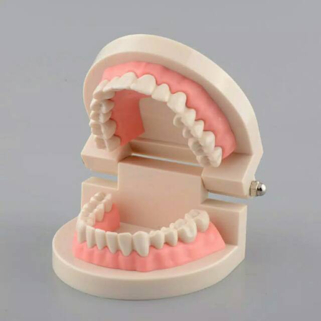 Jual Paket gigi | Shopee Indonesia