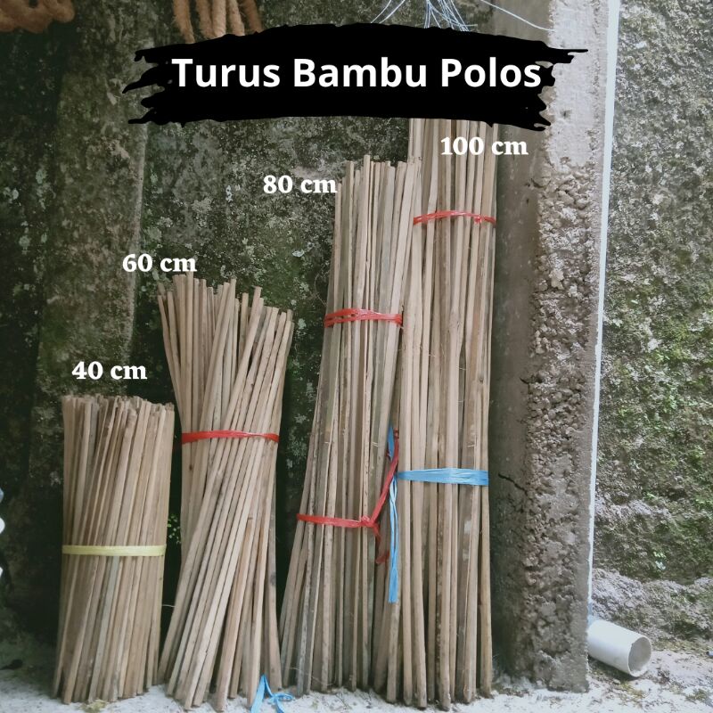 Jual Turus Bambu Penyangga Tanaman 40 60 80 100 Cm Shopee Indonesia 9697