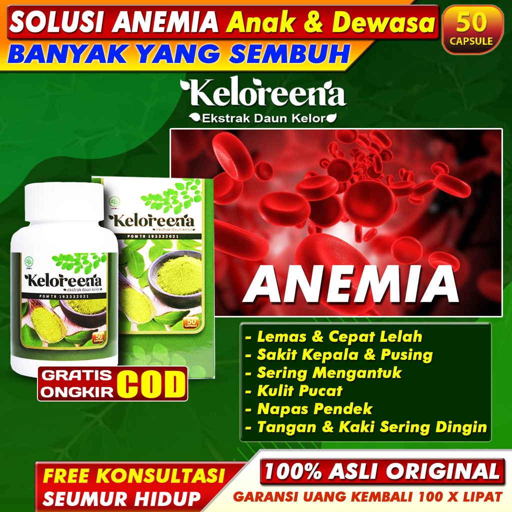 Jual Obat Anemia Untuk Anak & Dewasa Termasuk Ibu Hamil Dan Menyusui ...