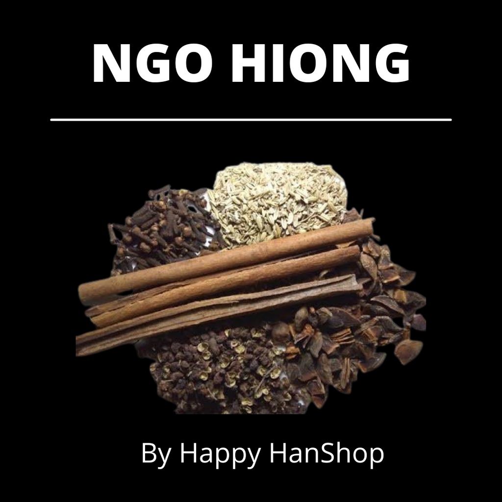 Jual Bumbu Ngo Hiong Halal Bubuk Ngo Hiong Ngo Hiong Powder