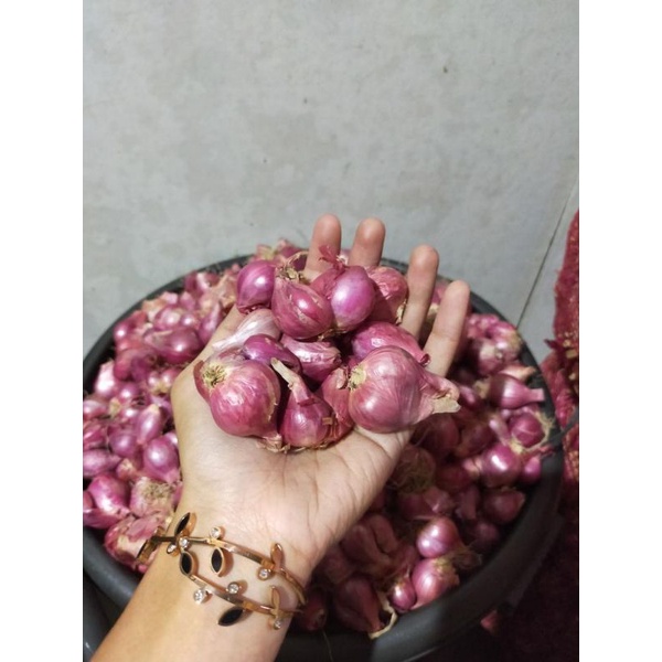 Jual Bawang Merah Peking 1kg Bawang Lokal Super Shopee Indonesia