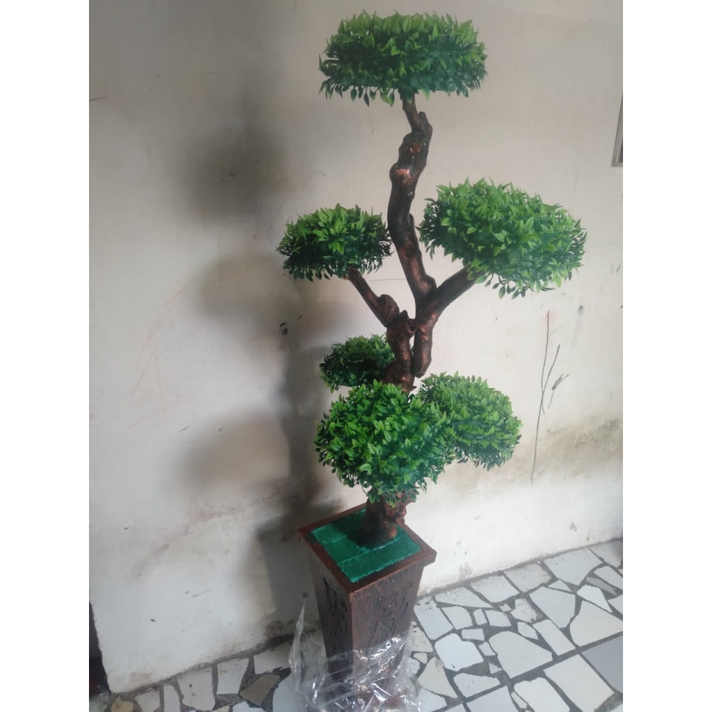 COD/BONSAI SUDUT RUANGAN ART/PLUS POT