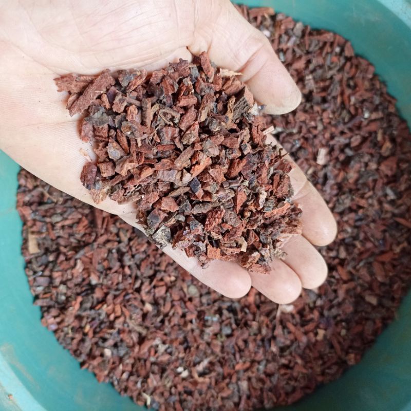 Jual 1Kg Media Tanam Pine Bark/Kulit Pinus Cacah Ekstra Kecil/Super ...