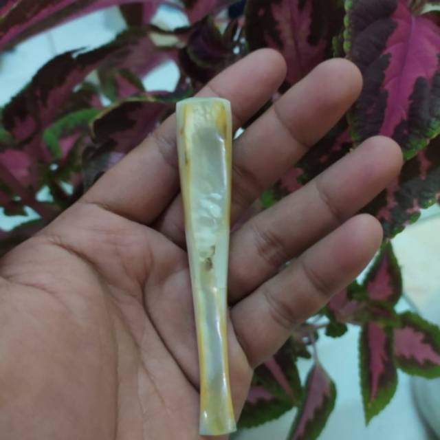Jual Pipa cangklong kerang | Shopee Indonesia