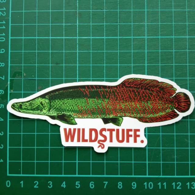 Jual Sticker Wildstuff - Arapaima gigas pirarucu | Shopee Indonesia