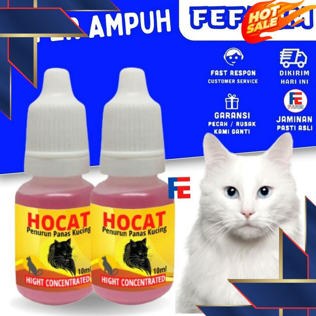 Jual NEWPRODUCT Hocat 1 ml Obat Penurun Demam Panas Pada Kucing FEFARM ...