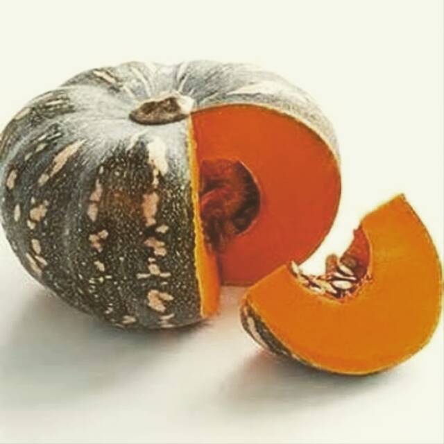 Jual Bibit Labu Kusuma Unggul 5 butir | Shopee Indonesia