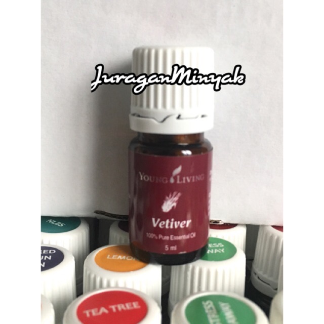 Jual Vetiver 5ml young living oil Shopee Indonesia