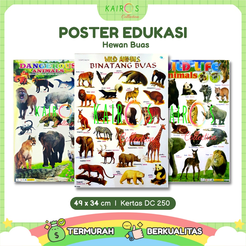 Jual Poster Edukasi Anak Belajar Binatang Buas | Shopee Indonesia