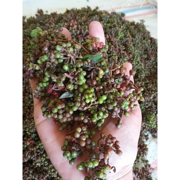 Jual Andaliman Segar Raya 1kg | Shopee Indonesia
