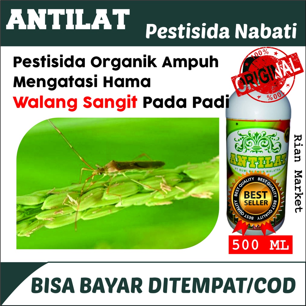 Jual Terlaris 2022 Antilat 500 Ml Pestisida Cair Alami Pembasmi Hama Lalat Buah Kutu Putih Hama 3575