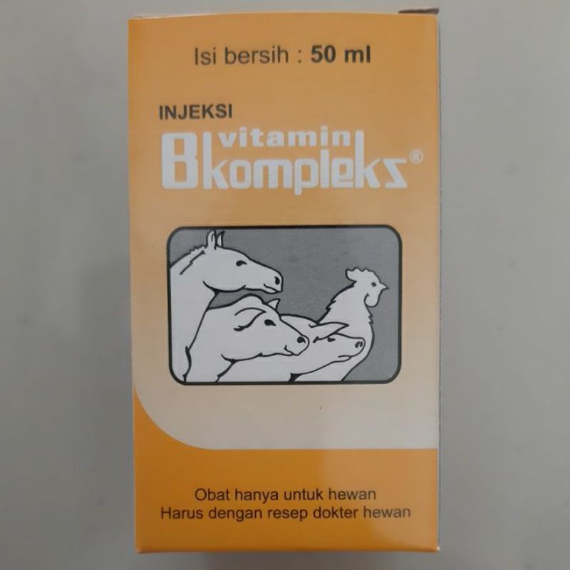 Jual VITAMIN B Plex B1 B2 B6 KOMPLEKS COMPLEX INJEKSI Injekvit 50ml ...