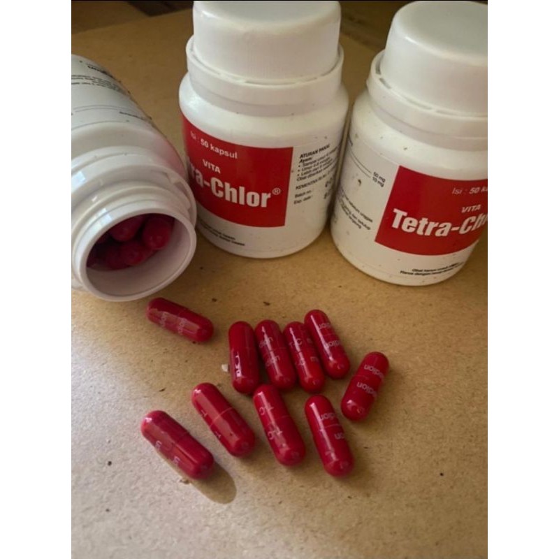 Jual Tetra chrol 50 capsule Shopee Indonesia