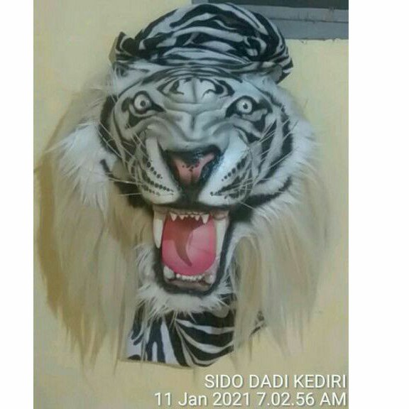 Jual Kepala Macan Topeng Macan Kostum Macan Barongan Telon Kediri