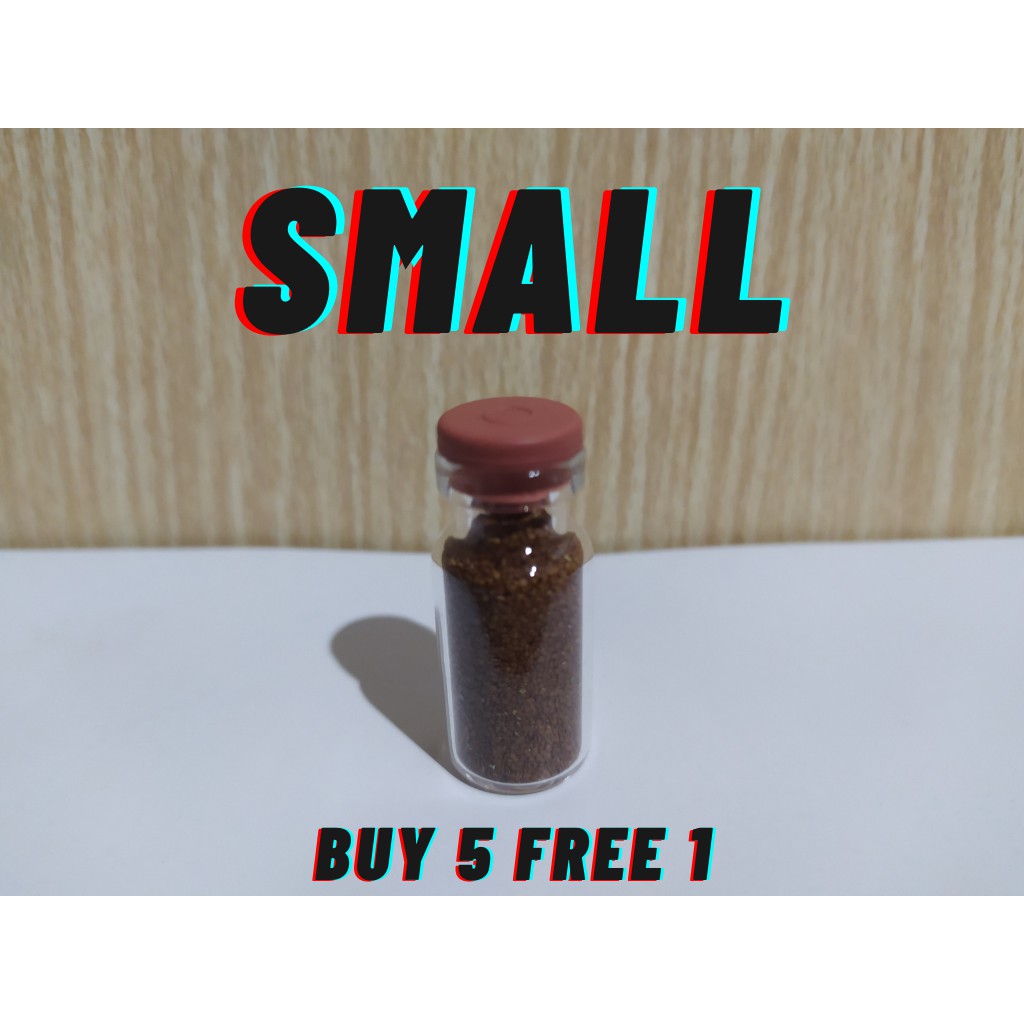 Jual Benih Carped Seed Aquascape/Benih Tanaman Karpet Rumput Aquascape ...