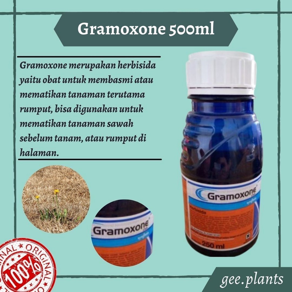 Jual Herbisida GRAMOXONE 500ML Obat Pembasmi Gulma Racun Rumput ...