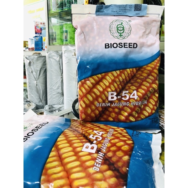 Jual BENIH JAGUNG BIOSEED B-54 | Shopee Indonesia