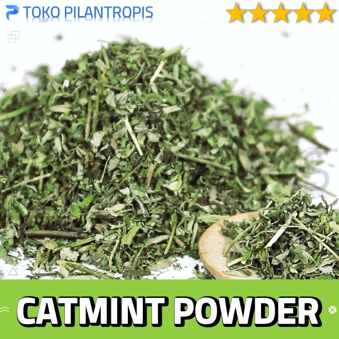 Jual CATMINT POWDER KUCING CAT MINT DAUN CATNIP POWDER KUCING SNACK ...