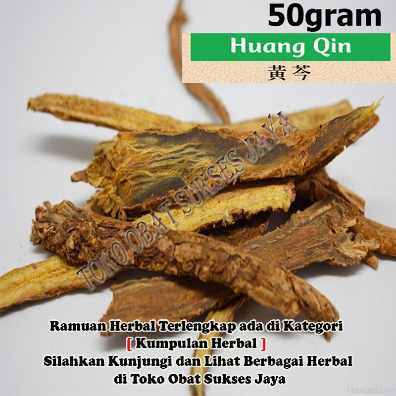 [50gram]  Huang Qin - Radix Scutellariae Baicalensis