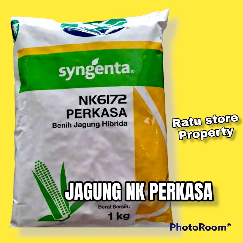 Jual Benih Jagung Hibrida NK 6172 Perkasa | Shopee Indonesia