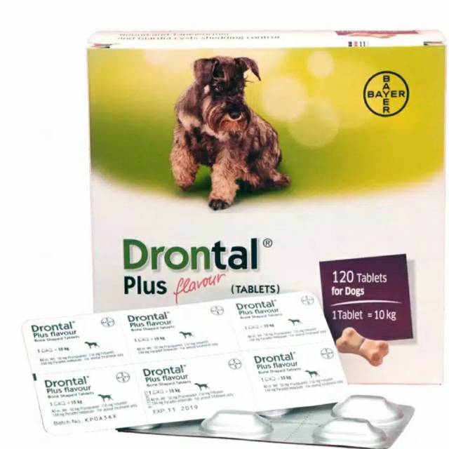 Jual Drontal Dog (1pc) | Shopee Indonesia