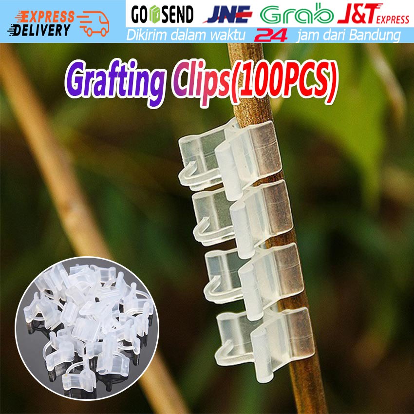 Jual 100pcs Penjepit Sambungan Tanaman Grafting Clips Okulasi