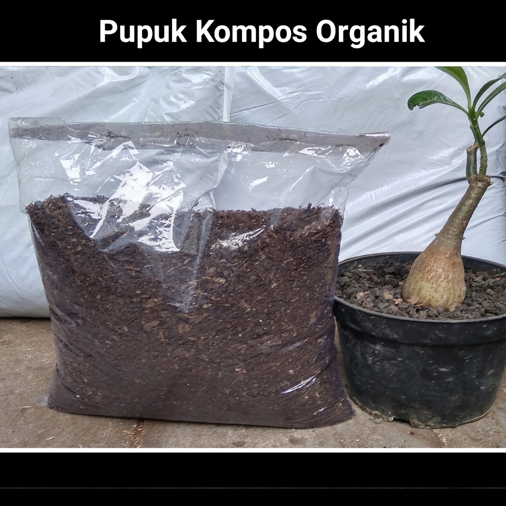 Pupuk Kompos Daun Organik  Siap Pakai 1kg Halus Hasil  Fermentasi terbaik