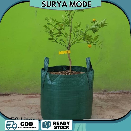 Planter Bag Tabulampot Planter Bag Durian 200 Liter Easy Grow