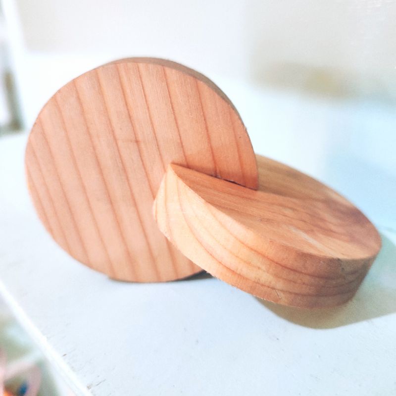 Jual alunaga interlocking disk mainan kayu Montessori anak | Shopee ...