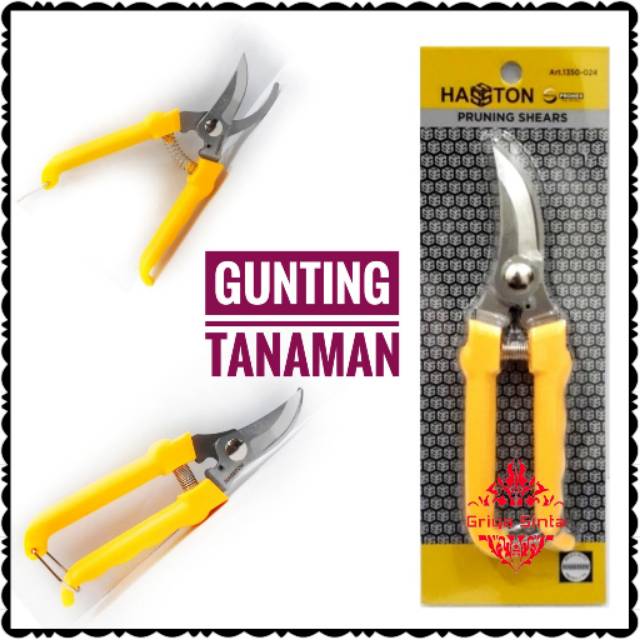 Jual Griyasinta : Gunting Dahan Prohex Hasston Ranting Tanaman | Shopee ...