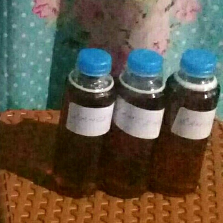 Jual Madu Klanceng / Lanceng / Kelulut 220 ml Original by Lebah Trigona ...