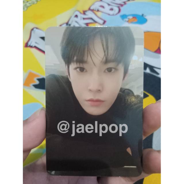 Jual PC DOYOUNG NEO ZONE T VERSION Shopee Indonesia