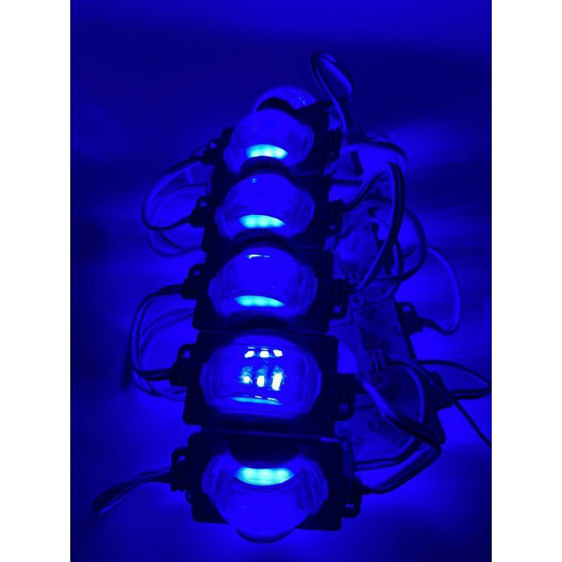 Jual LAMPU LED MODUL 1 MATA CEMBUNG 12/24 VOLT ( harga per pcs ...
