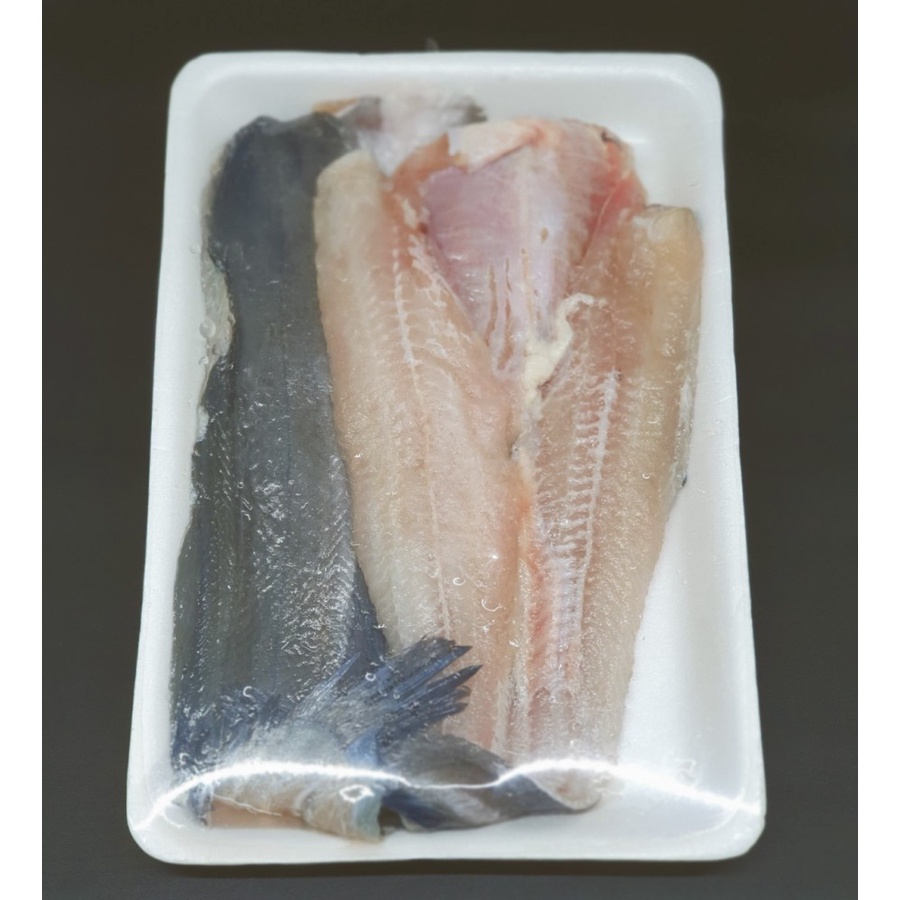 Jual IKAN LELE FILLET FROZEN HALAL | Shopee Indonesia