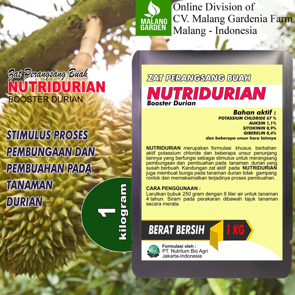 Jual Zat Perangsang Buah Nutridurian Kg Pupuk Booster Pelebat Buah Durian Dan Perangsang