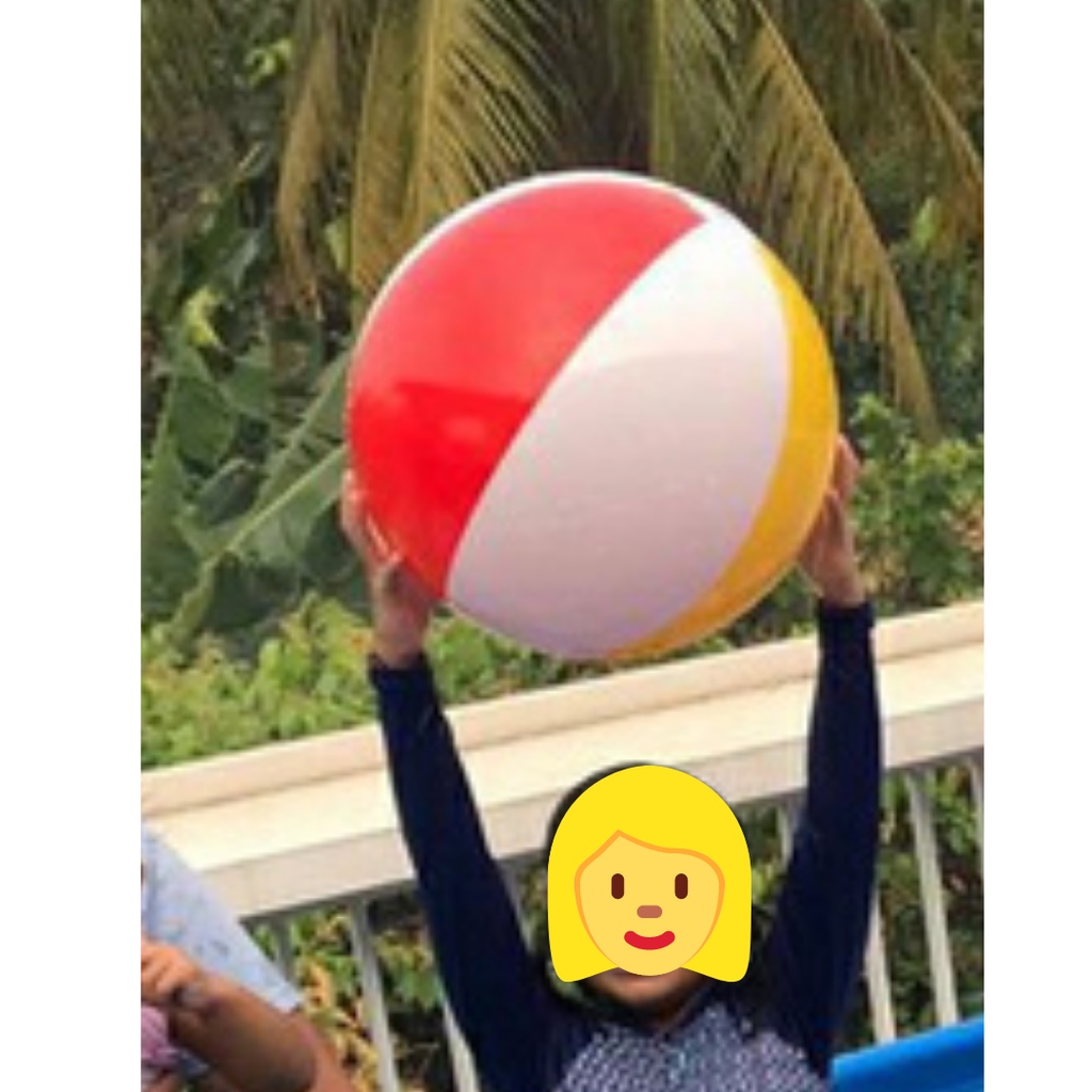 Jual Bola Renang Main Inflatable pantai Panel Ball 51cm 20 inch Intex ...