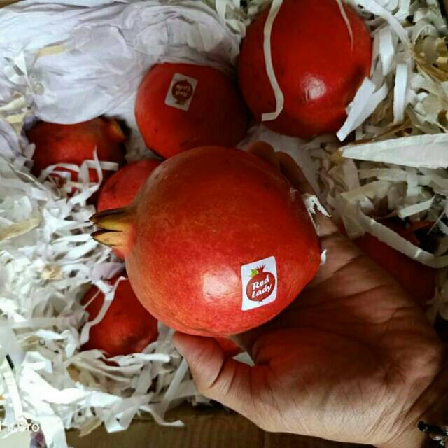 Jual DELIMA INDIA MERAH IMPORT MANIS HARGA PER KARDUS | Shopee Indonesia