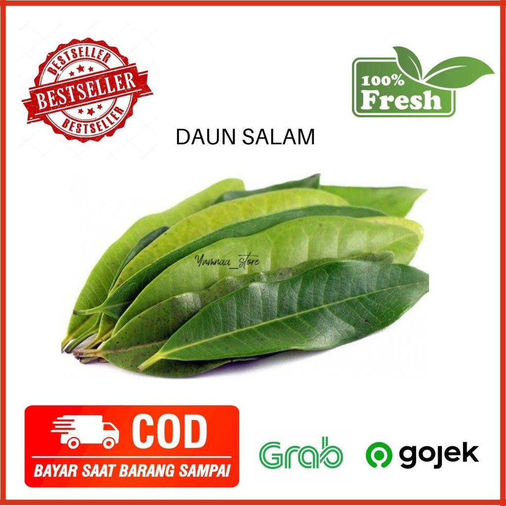 Jual Daun Salam Sayur Sayuran Segar Fresh Murah Jakarta Gram Shopee Indonesia