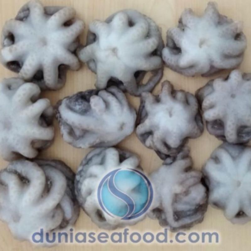 Jual Baby Octopus 500 gram/pack 10-15 pcs/pack | Shopee Indonesia