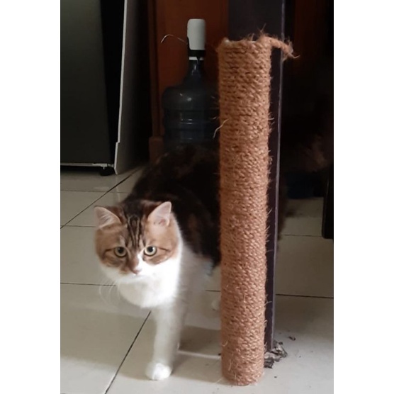 Cat best sale scratcher shopee