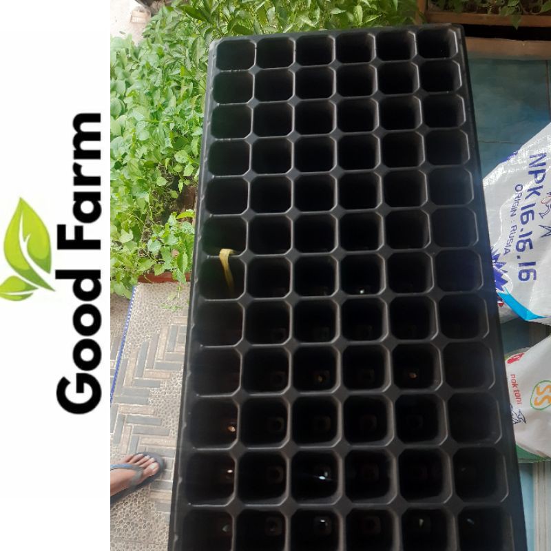 GoodFarm -Potray Isi 72 Lubang Tanam